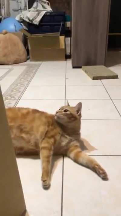 NOOOOO-