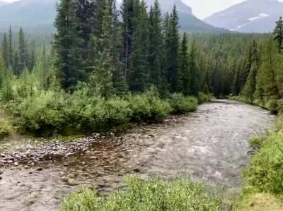 Smith-Dorrien Creek, Alberta, Canada [OC]