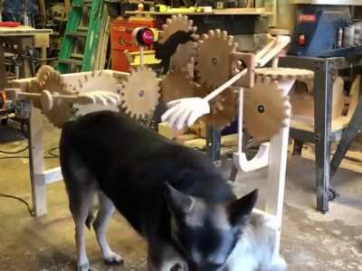 A Device made from wood for petting Good Boys.