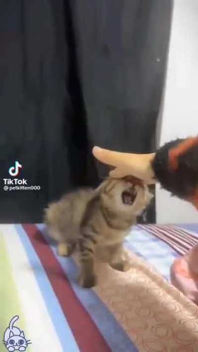 AAAAAAAAAAA