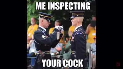 Cock Inspection
