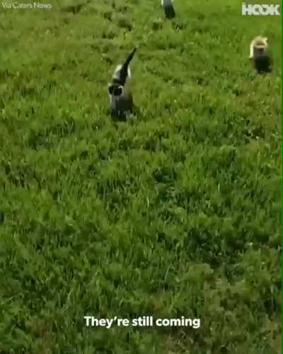 Hunt em down