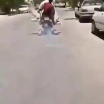 Camel Delivery Incoming!