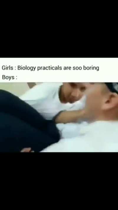 Birth bros