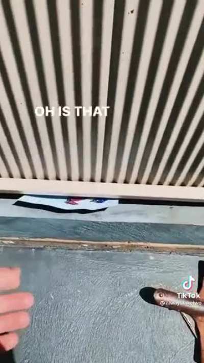 Making friends with the 4 year old next door