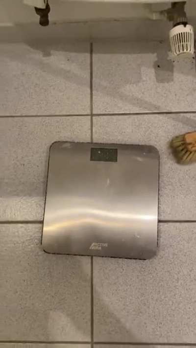 my scale broke as i weighed myself this morning...