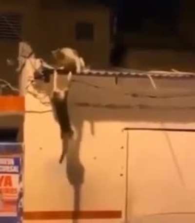 A vida imita a arte