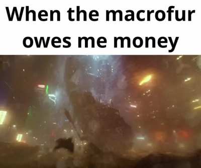 Losercity macrofur
