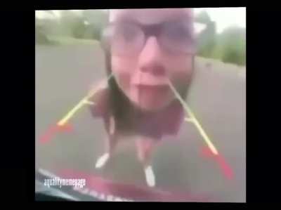 Rat shit
