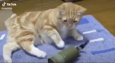 Grenade Kitty