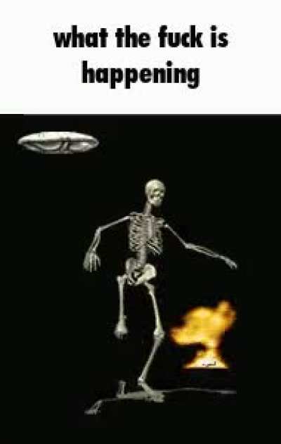 What have we become