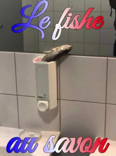 Le fishe au rule