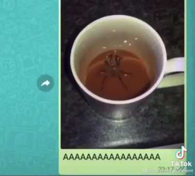 AAAAAAAAAAAAAAAAA-