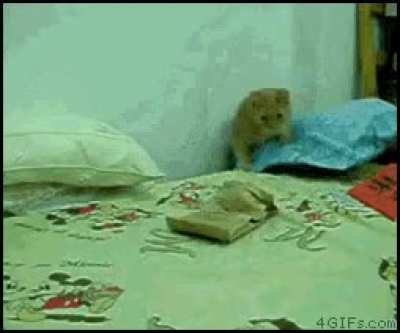 I'm outta here!