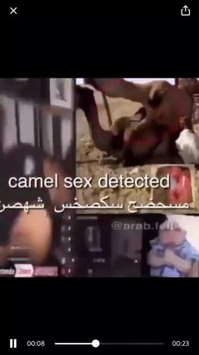 🇨🇦🤮🇨🇦<wbr>🇸🇦😏🇸🇦