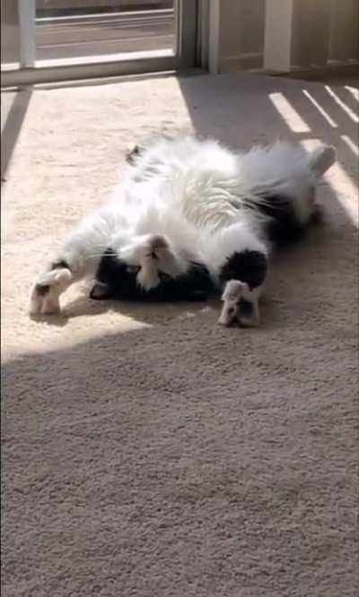 Lazing around