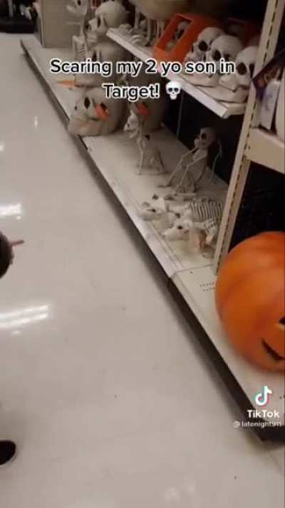 Dead Puppies