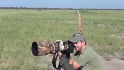 Be vewwy quiet. I’m hunting wabbits!