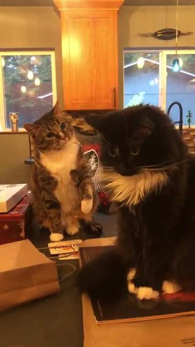 That look!