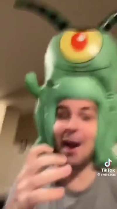 plankton