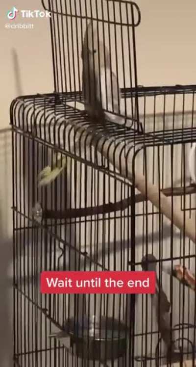 Aaaaaaa
