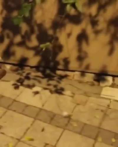 Wait for it !!