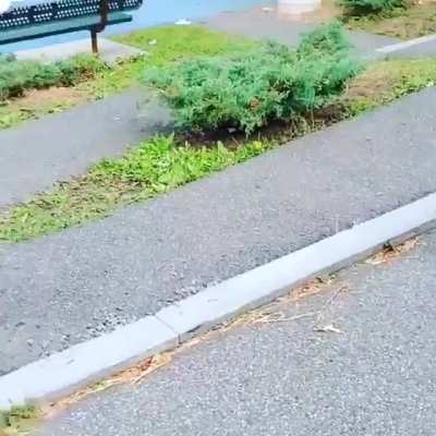 Amazing half court shot!