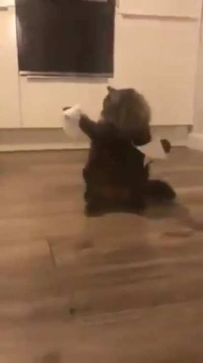 splÖrt