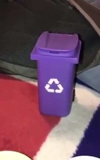 What a way to go...