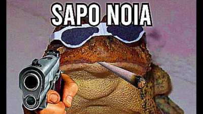 Guinas noia