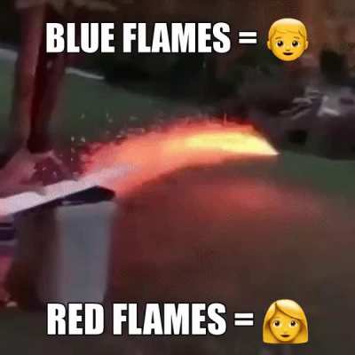 gender reveal 😩