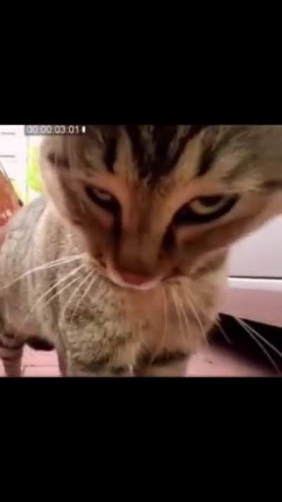 Maybe maybe maybe
