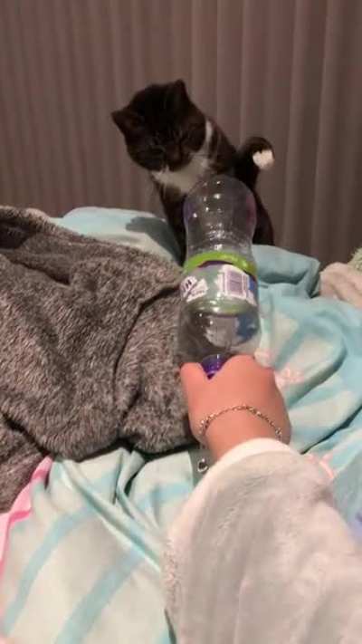 Her new enemy