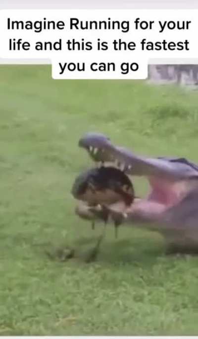 😂