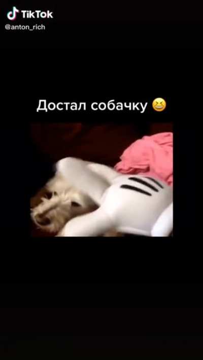 Credit to anton_rich