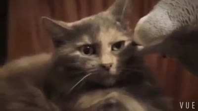 What was it you saying behind me? Speak it to my face now!