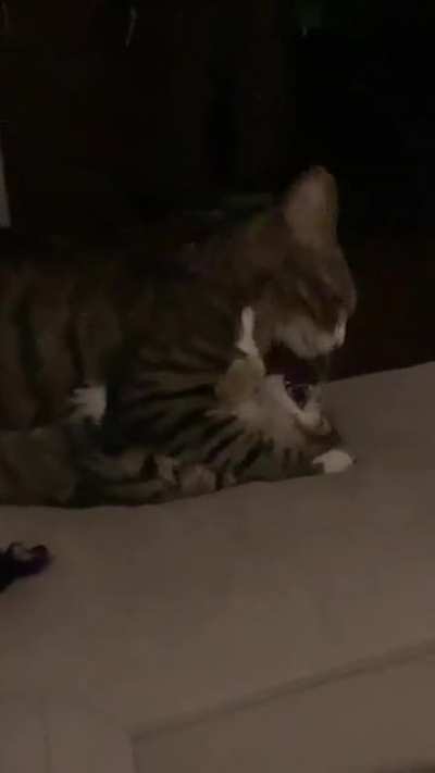 don’t ask what happened