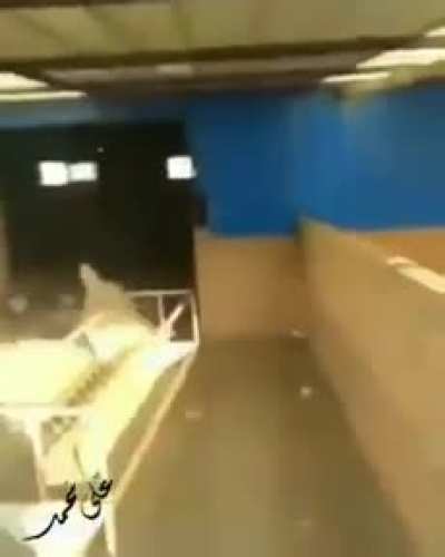 SheepRunner