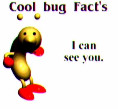 Bug facts