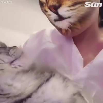 These cats don't know what to make of this new filter...