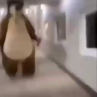Cago el dylan