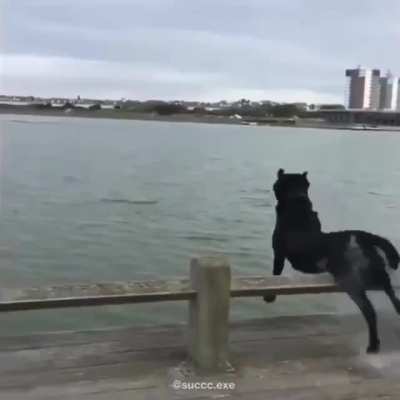 '-'