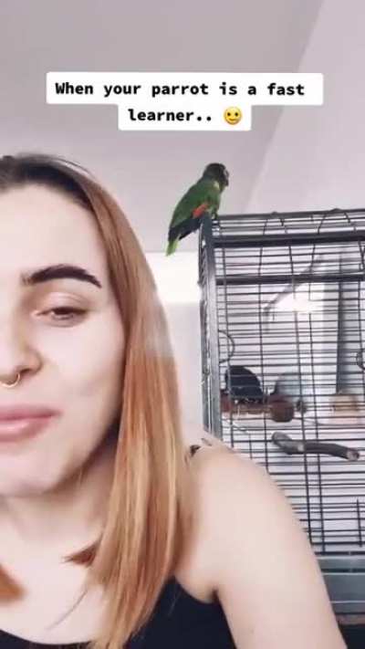 Cool bird