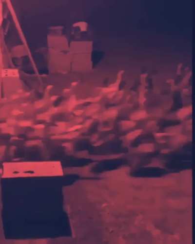 Eu achei o vídio, e editei, o que acho?