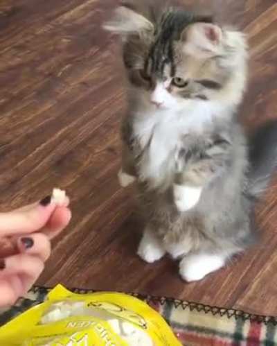 Good little boy