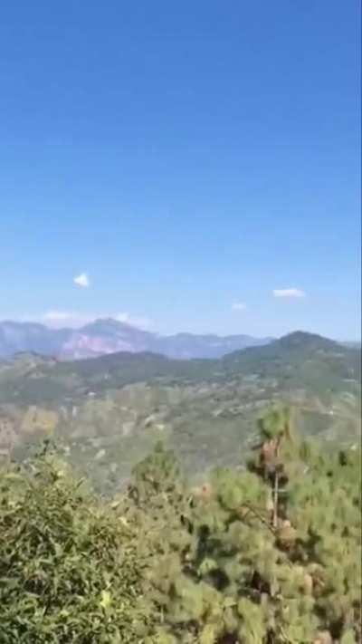 ⛰ 🌷
