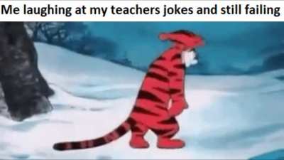 I did everything you wanted