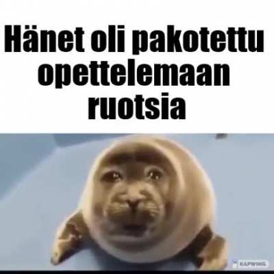minä irl