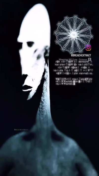 The illuminate