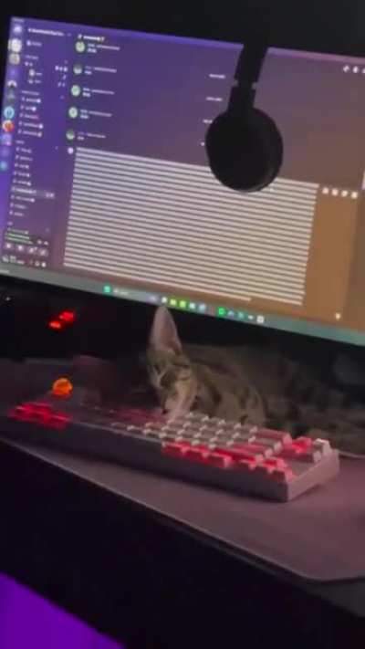 A sysadmin works even when he sleeps!